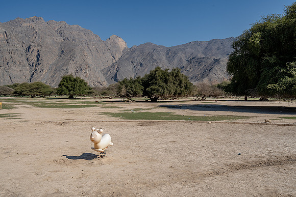 Musandam, Oman