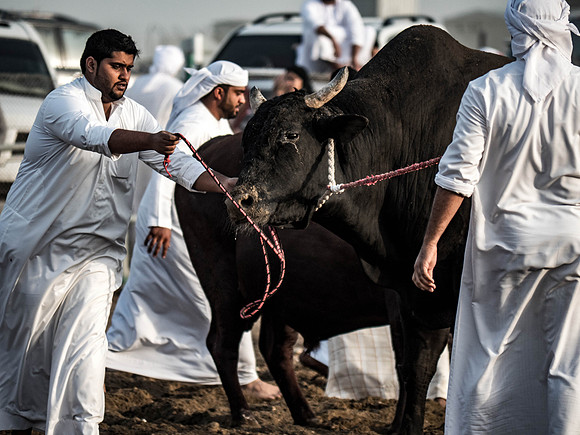 Fujairah