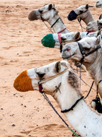 Sudan 21