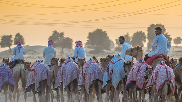 The United Arab Emirates 3