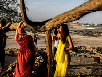 Tree of Life, Bahrain