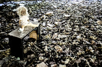 Chernobyl