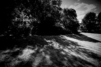 DSC02924