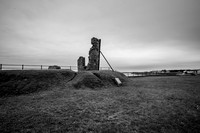 DSC03420
