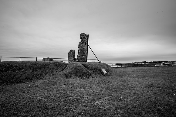 DSC03420