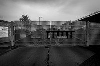 DSC03840