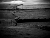 P7150514
