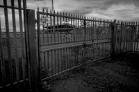 R0033401