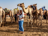 Camel Races