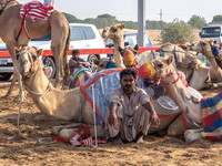 Camel Races